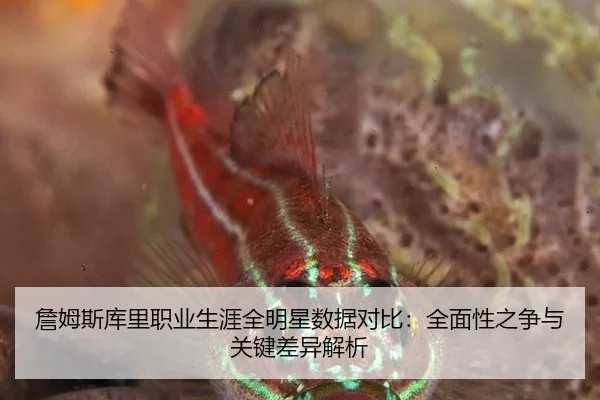 詹姆斯库里职业生涯全明星数据对比：全面性之争与关键差异解析