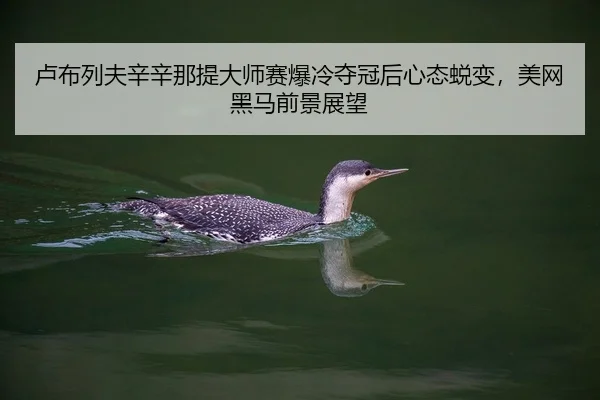 卢布列夫辛辛那提大师赛爆冷夺冠后心态蜕变，美网黑马前景展望
