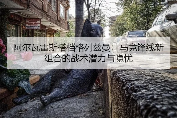 a-er-wa-lei-si-da-dang-ge-lie-zi-man-ma-jing-feng-xian-xin-zu-he-de-zhan-shu-qian-li-yu-yin-you-2-374.jpg